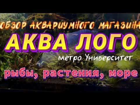 Видео: Обзор АКВА ЛОГО, Университет. Пресноводная и морская аквариумистика, оформленные аквариумы