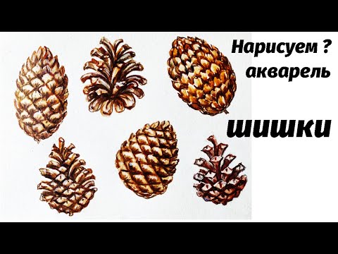 Видео: Как нарисовать шишки акварелью // Short watercolor painting tutorial: pine cones
