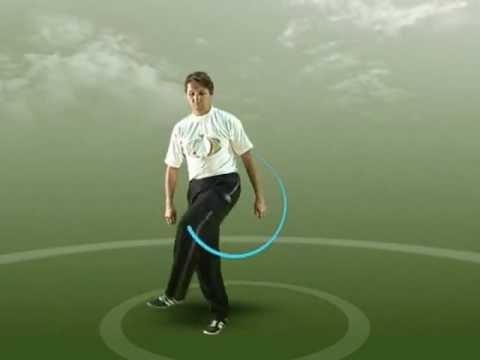 Видео: "Баланс 4-х стихий"- комплекс упражнений.