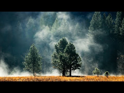 Видео: Магическая музыка / Волшебная музыка| Атмосферная Музыка| Средневековое Фентези | музыка под учёбу