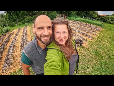 Видео: Живот на СЕЛО: Как изградихме КАПКОВОТО си напояване  ☼ Имение ХАЛО ☼