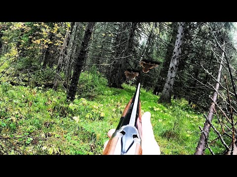 Видео: КЛАССИЧЕСКАЯ охота на РЯБЧИКА с манком!!! 100% результат.