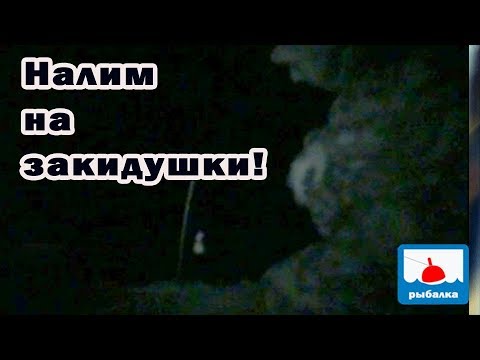 Видео: Ловля налима на закидушки - зачем ждать льда!