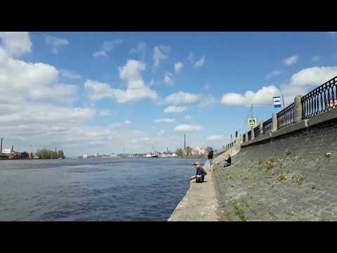 Видео: Нева в черте города. Тяжёлый фидер. Атака ерша в мае.