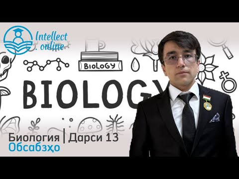 Видео: Биология | Обсабзҳо | Дарси 13