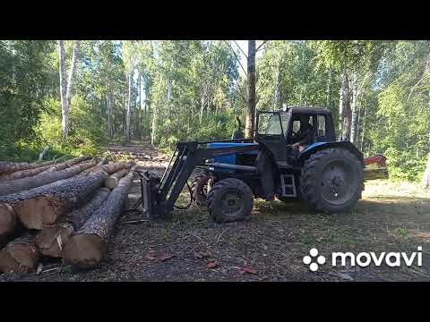 Видео: Валка леса погрузка мтз 82