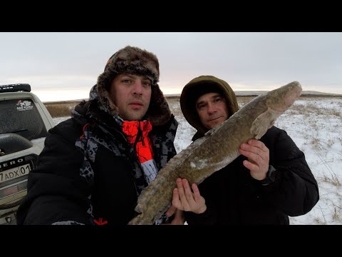 Видео: Закрываем сезон по открытой воде с рекордным уловом Налима!