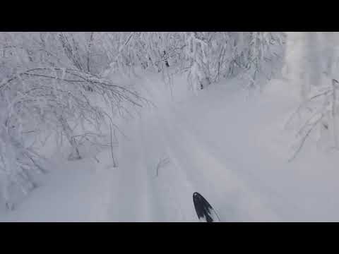 Видео: Динго т 125 снег просто там где не ездил никто