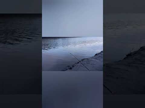 Видео: Выезд на рыбалку 4мая.Река Обь, протока.