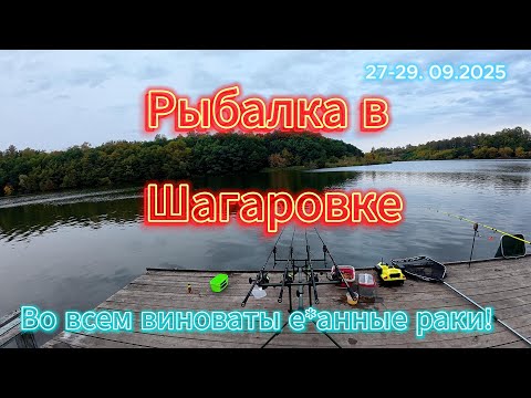 Видео: Рыбалка в Шагаровке БО "Русская деревня" с двумя ночевками.  Во всем виноваты е*анные раки!