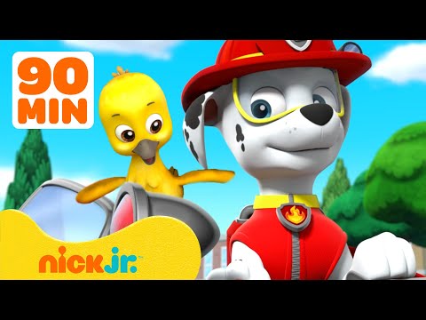 Видео: Щенячий патруль спасает малышей животных! 🐥🐒 | 90 минут | Nick Jr. Cyrillic