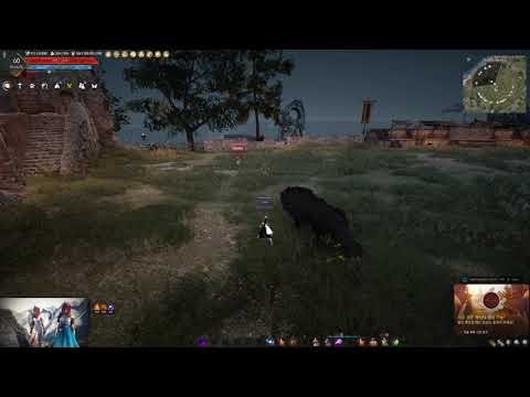 Видео: Black desert мистик реворк, часть 2