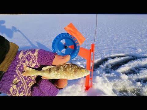 Видео: Суровый первый лед! Мороз, жерлицы и безмотылка в ноябре