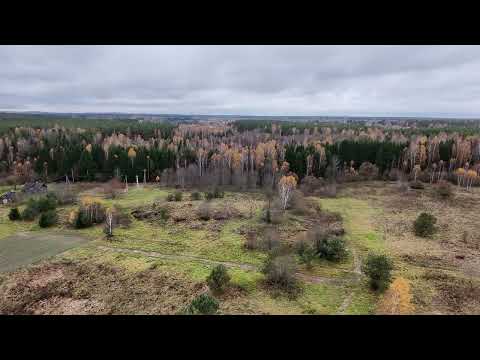 Видео: осень