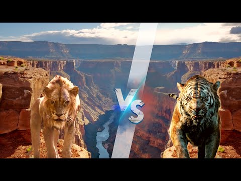 Видео: ШРАМ ПРОТИВ ШЕРХАН