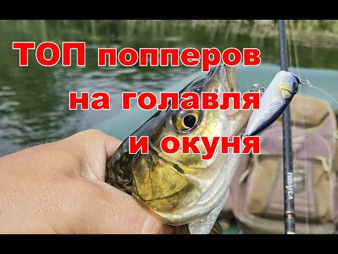 Видео: Лучшие ПОППЕРЫ на ГОЛАВЛЯ и ОКУНЯ СЕЗОНА 2023
