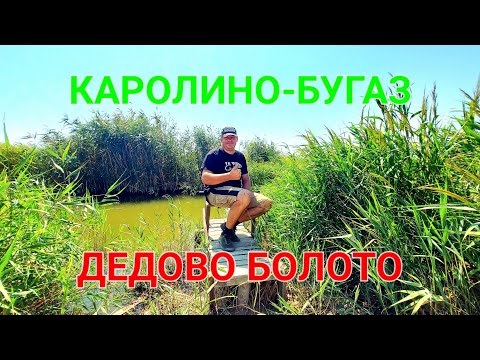 Видео: Дедово болото. Каролино - Бугаз. Платная рыбалка. Днестровский лиман. Затока сегодня. Море. #зоотроп