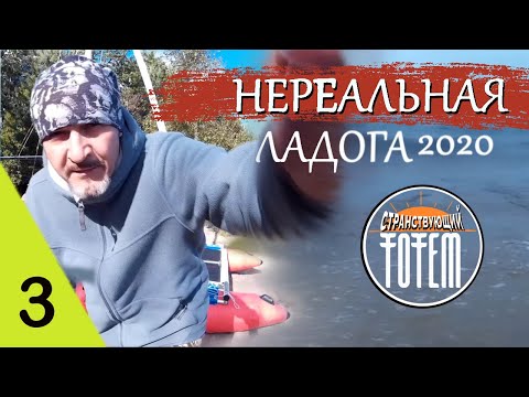 Видео: #3 Нереальная ЛАДОГА 2020. Новый SibCat-21 Обзор Как собрать катамаран Фильм 2021 года #путешествия