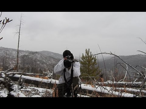 Видео: ОХОТА в ПЕРВЫЙ СНЕГ. ПОГОНЯ за ПОДРАНКОМ! НЕ СМОТРЕТЬ ВПЕЧАТЛИТЕЛЬНЫМ ЛЮДЯМ!!!