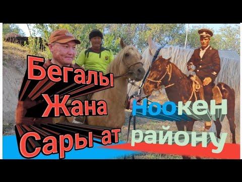 Видео: Бегалы жана Сары ат