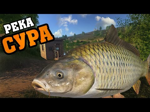 Видео: 🔴LIVE RR4: 💰 Фармим серебра! Каждые 10 лайков – розыгрыш призов! 🎣 Погружаемся в мир рыбалки!