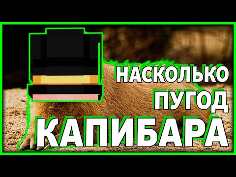 Видео: ПУГОД КАПИБАРА? || PWGood Нарезка