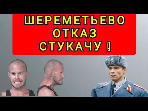 Видео: ШЕРЕМЕТЬЕВО  ОТКАЗ  ТУРБОПАТРИОТУ !!