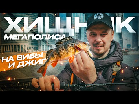 Видео: ОКУНЬ и ЖЕРЕХ на ВИБЫ и ДЖИГ! ХИЩНИК мегаполиса. СТРИТФИШИНГ!