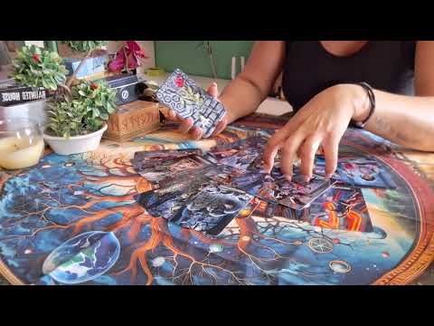 Видео: Щастлив ли е от избора си?