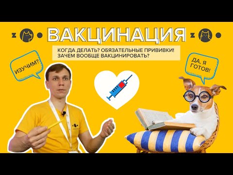 Видео: Вакцинация: для чего она нужна и когда её делать?