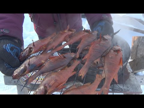Видео: окунь горячего копчения