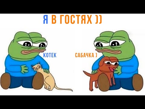 Видео: Я В ГОСТЯХ ВСЕГДА НЯШКАЮ ЖИВОТНЫХ ))) | Приколы | Мемозг 1518