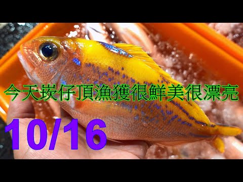 Видео: 10/16 Рано утром в Канзайдинге, Цзилун, сегодня у нас был отличный улов. Мы поймали белого люциан...