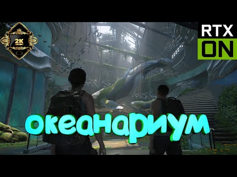 Видео: The Last of Us Part II Remastered прохождение на русском [2K|60FPS|PC] 🎸 серия 11 🎸 океанариум