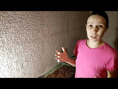 Видео: Когда добавлять добавки в мыло.Дёготь.