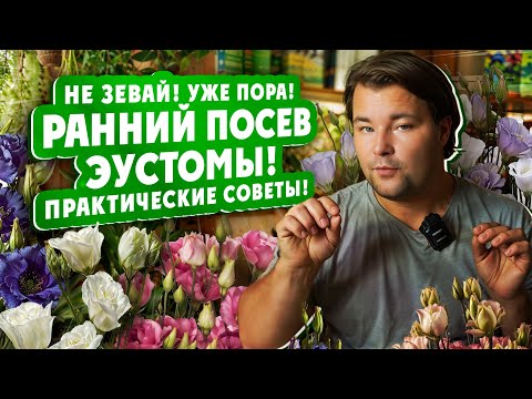 Видео: Не зевай! Уже пора! РАННИЙ ПОСЕВ ЭУСТОМЫ! практические советы!