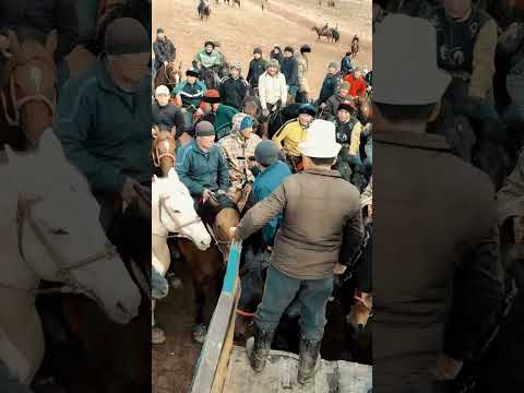 Видео: Кок бору Кара Кулжа айылы уул той аламан улак #кокбору #аламанулак #аламан #kyrgyzstan #рек