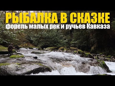 Видео: За форелью на Кавказ. РЫБАЛКА на МАЛЫХ РЕКАХ и РУЧЬЯХ.