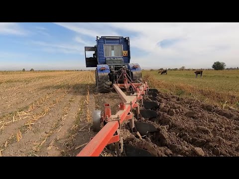 Видео: ТЯНЕТ и НЕ ЧУВСТВУЕТ, МОЕЙ РАДОСТИ НЕТ ПРЕДЕЛА! | Трактор К-700 с кабиной Renault Magnum