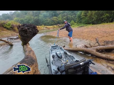 Видео: Этот ручей оказался совсем не таким, как я ожидал.