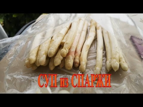 Видео: СУП из СПАРЖИ.Крем-суп из спаржи.легкий и очень вкусный рецепт супа .Spargelsuppe.asparagus soup.