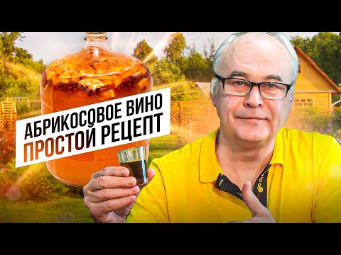 Видео: Абрикосовое вино. Вино из абрикосов - простой пошаговый рецепт. Apricot wine.