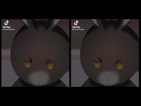 Видео: Реакция Симбиоз между кроликом и чёрной пантерой и Сильнейший кролик фальшивой дочери герцога на ТТ~