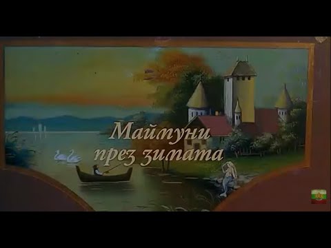 Видео: МАЙМУНИ ПРЕЗ ЗИМАТА - БГ ФИЛМ (2006)