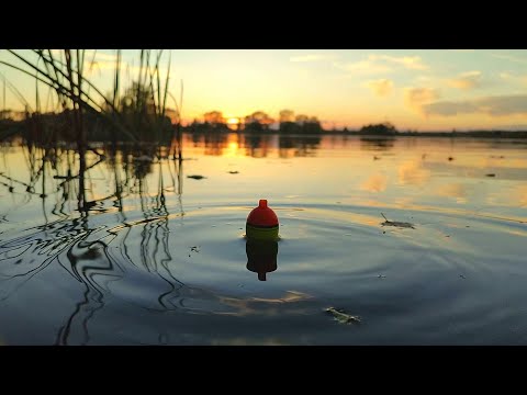 Видео: ЛОВЛЯ ЩУКИ НА ВЕЧЕРНЕЙ ЗОРЬКЕ