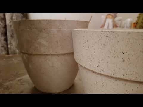 Видео: РЫБКИ "САПФИРОВЫЕ ПОПУГАЙЧИКИ" ВСЕГДА МЕНЯ ВЕСЕЛО ВСТРЕЧАЮТ!🐠🌹ПЕРЕСАДКА РОЗ НА РОСТУЩУЮ ЛУНУ!🌹