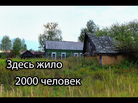 Видео: Заброшенная деревня в лесах Тамбовщины. 200 брошенных домов.  Ночёвка в заброшенной деревне.