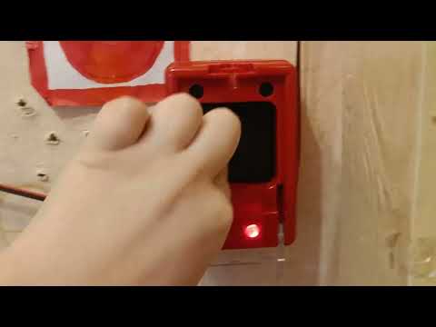 Видео: тест пожарки на прошлом месте, бишка изрисована прошлым владельцем.