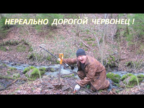 Видео: ЗАСЫПАННАЯ ЗОЛОТОМ и СЕРЕБРОМ! ПОИСК ДРЕВНЕЙ РЫЦАРСКОЙ ДОРОГИ в ГЛУХОМ ЛЕСУ...