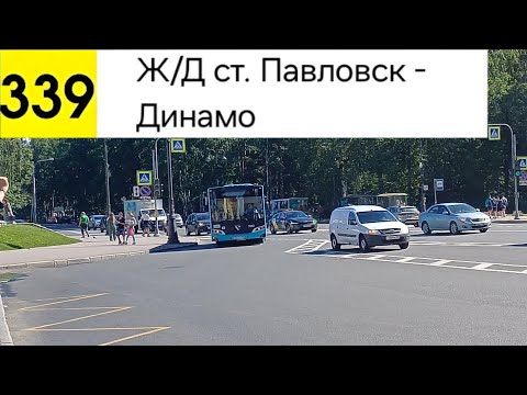 Видео: Автобус 339. Ж/Д ст. Павловск - Динамо